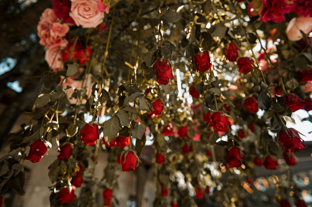 Custom Event Planner Anniversary Celebrations